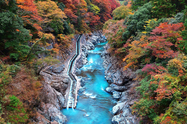 Thung lũng Hatonosu ở Okutama đẹp như một bức tranh thủy mặc vào mùa thu