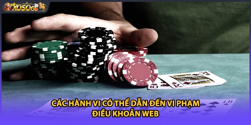 Các hành vi có thể dẫn đến vi phạm điều khoản web