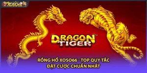 Rồng Hổ Xoso66 - Top Quy Tắc Đặt Cược Chuẩn Nhất